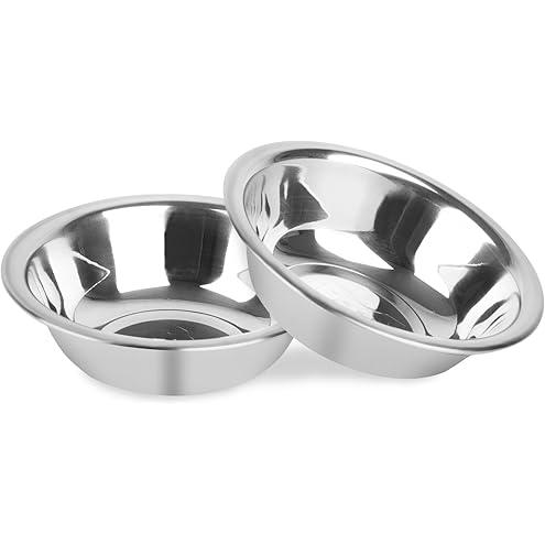 Stainless Steel Cat Bowls Food Dishes for Indoor Cats Cats Shallow Whisker Friendly 6.4Inches Cat Food Water Dishes Bowls Whisker Fatigue Relief Dishwasher Safe 2Pcs — image 14