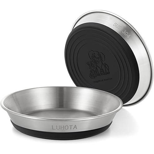Stainless Steel Cat Bowls Food Dishes for Indoor Cats Cats Shallow Whisker Friendly 6.4Inches Cat Food Water Dishes Bowls Whisker Fatigue Relief Dishwasher Safe 2Pcs — image 15